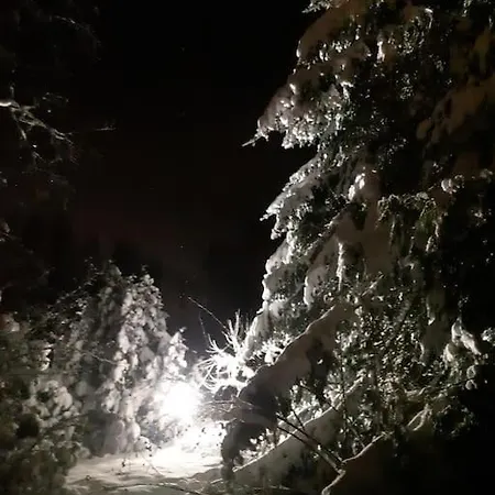 Alapihan Arboretumin Vierasmaja Ja Sauna Casa vacanze *
