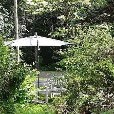 Casa vacanze Alapihan Arboretumin Vierasmaja Ja Sauna Jakokoski