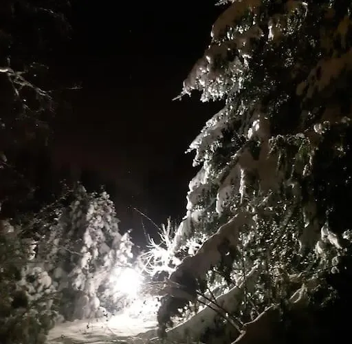 Alapihan Arboretumin Vierasmaja Ja Sauna Hébergement de vacances *