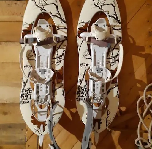 Alapihan Arboretumin Vierasmaja Ja Sauna
