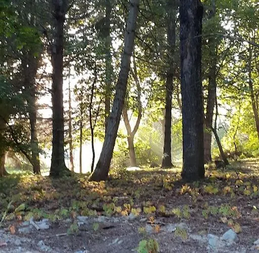 Alapihan Arboretumin Vierasmaja Ja Sauna Hébergement de vacances