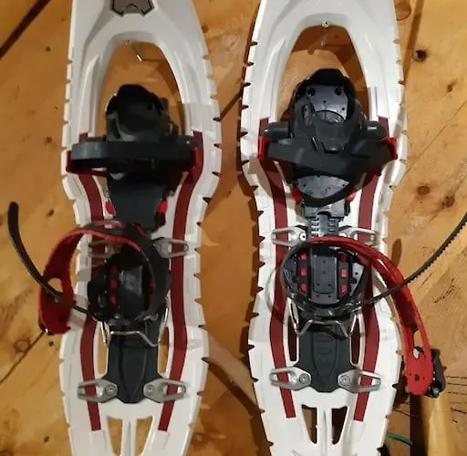 Hébergement de vacances Alapihan Arboretumin Vierasmaja Ja Sauna Jakokoski